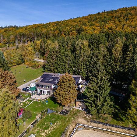 Fuchswiese Thurmansbang Bagian luar foto